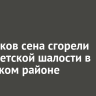 450 тюков сена сгорели из-за детской шалости в Усольском районе