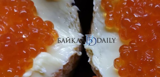 Депутат из Бурятии вместе со всей Госдумой восстал против «пальмы»