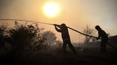В Рослесхозе рассказали о прошедшем в России пожароопасном сезон В Рослесхозе рассказали о прошедшем в России пожароопасном сезон
