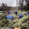 Золотодобывающая компания в Приамурье устроила свалку на берегу ручья