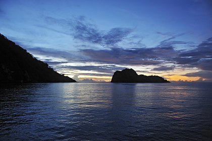 Акула напала на морского биолога Акула напала на морского биолога