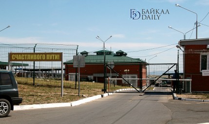 Домашнюю птицу пытались тайно вывезти из Бурятии
