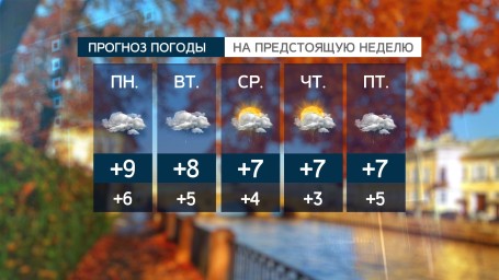 В Петербурге с 29 октября ожидаются стабильные +7 градусов