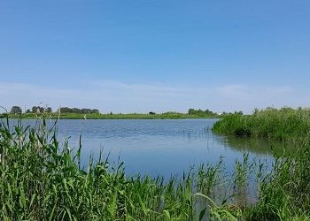 В Приамурье придет жара под +35 и прогремят грозы