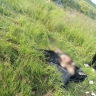 В Башкирии в реке Большой Нугуш утонул мужчина