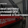 СК назвал мотивы преступлений ОПГ, задержанной в Екатеринбурге