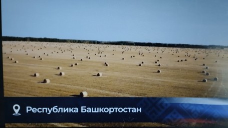 Премьер Башкирии объяснил суть Года единства народов России