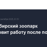 Новосибирский зоопарк возобновит работу после пожара