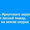 Житель Иркутского округа устроил лесной пожар, бросив на землю окурок