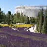 Фиолетовое поле расцвело в российском парке