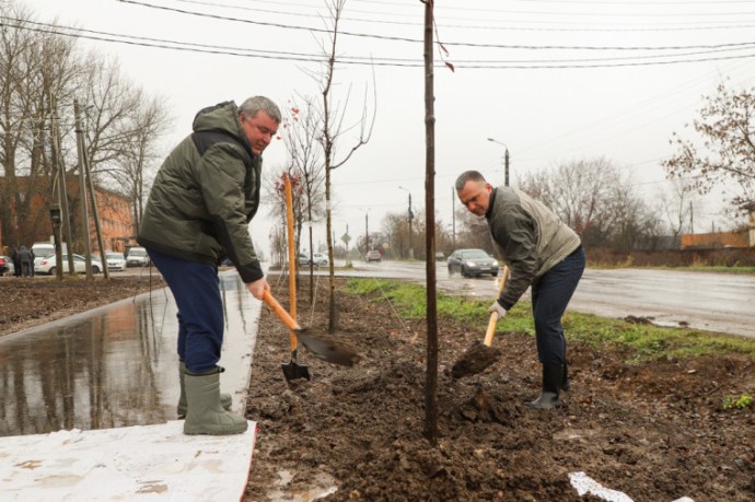 Более 180 деревьев высадят вдоль веломаршрута «Лев Толстой» в Туле Более 180 деревьев высадят вдоль веломаршрута «Лев Толстой» в Туле