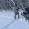 В Тульской области считают зверей: стартовал зимний учёт
