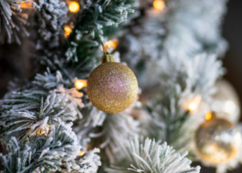 Амурчан приглашают на новогодние представления в резиденцию Деда Мороза Амурчан приглашают на новогодние представления в резиденцию Деда Мороза