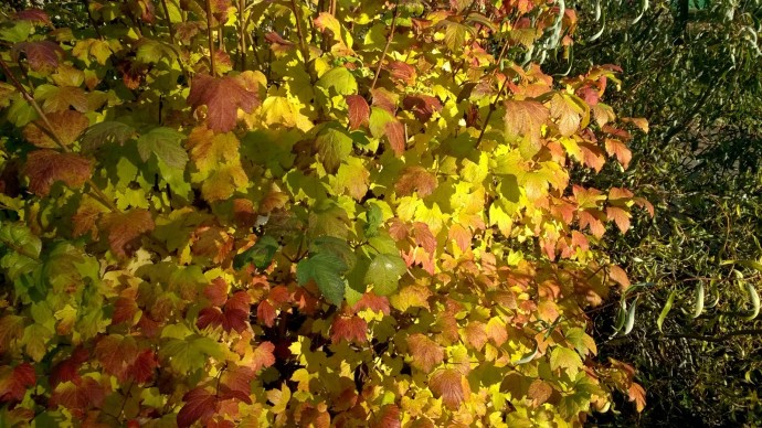 В Башкирии погода сильно удивит жителей