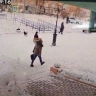 В Бурятии напавшая на девочку собака оказалась домашней