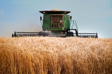Воронежские земледельцы собрали пять миллионов тонн зерновых