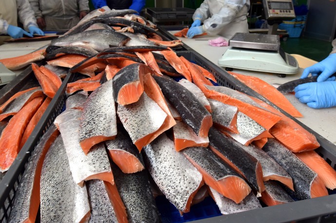 В России вырос спрос на специалистов рыбной отрасли