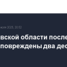 В Ростовской области после атаки дронов повреждены два десятка домов