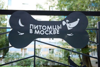 Семь собачьих площадок обустроили в Юго-Восточном округе столицы