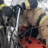 Обнародованы фото с места смертельного ДТП в Городищенском районе