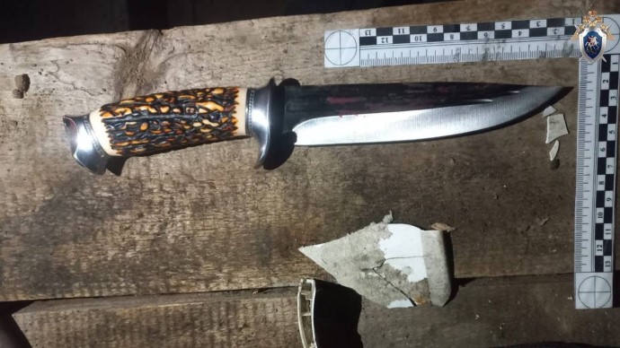 В Башкирии мужчина зарезал своего знакомого во время застолья