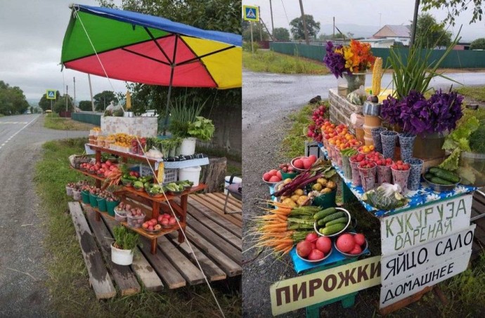 Трасса, которая кормит: репортаж с обочины приморского села Нежино Трасса, которая кормит: репортаж с обочины приморского села Нежино