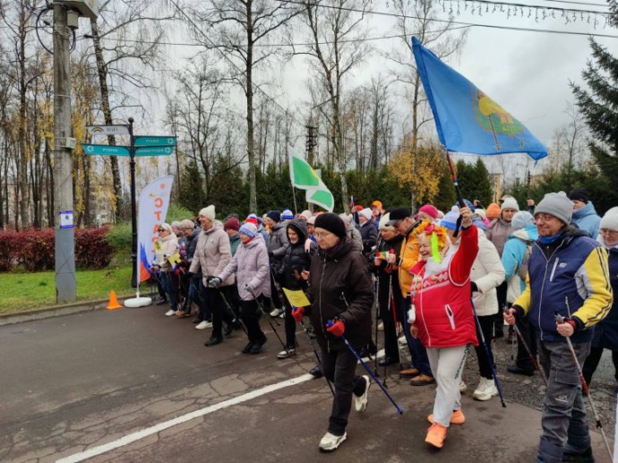 В Туле прошел фестиваль северной ходьбы «Живи по-тульски!» В Туле прошел фестиваль северной ходьбы «Живи по-тульски!»
