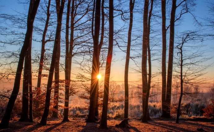 Воздух на Сахалине прогреется до +8 градусов: подробный прогноз погоды для всех районов Воздух на Сахалине прогреется до +8 градусов: подробный прогноз погоды для всех районов