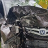 В Курском районе иномарка врезалась в дерево — пострадали два человека