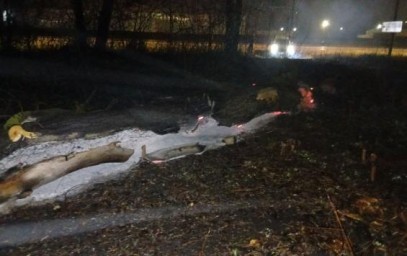 В Курске продолжают искать источники неприятного запаха на улицах города