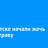 В Иркутске начали жечь сухую траву