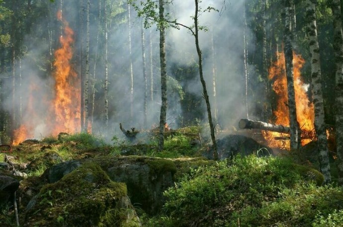 В Хакасии введен режим ЧС из-за непогоды и ухудшения пожарной обстановки