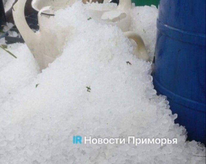 Размером со сливу: Аномальное явление зафиксировано в Приморском крае