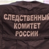 Иноагента из Башкирии объявили в межгосударственный розыск за фейки об СВО