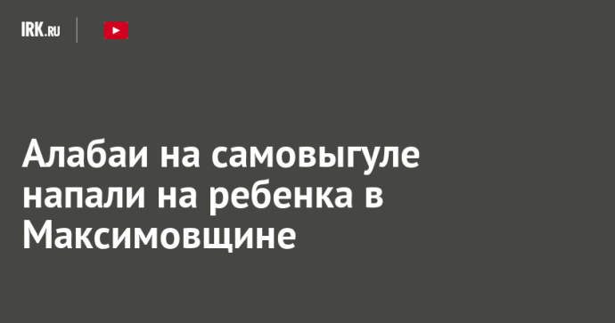 Алабаи на самовыгуле напали на ребенка в Максимовщине