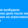 Полиция возбудила уголовное дело после жалоб братчанки на агрессивного супруга
