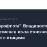 Рейс "Аэрофлота" Владивосток - Москва отменен из-за столкновения самолета с птицами