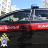 В Псковской области проверят мужчину, снимавшего на камеру избиение жены
