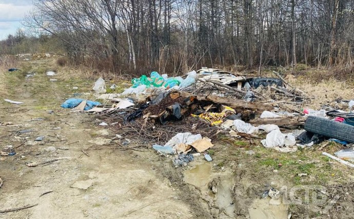 Неизвестные завалили мусором запруды около железнодорожной станции в Христофоровке