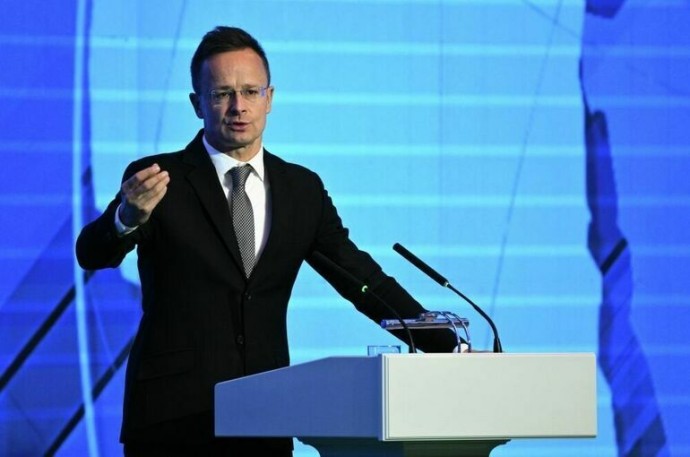 Сийярто и Сикорский устроили перепалку из-за активов России