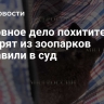 Уголовное дело похитителя кенгурят из зоопарков направили в суд