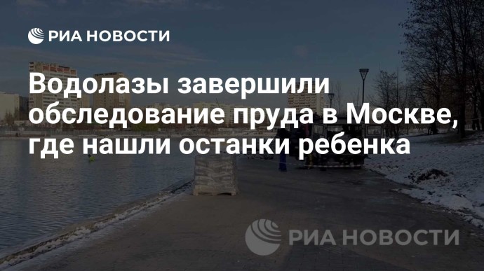 Водолазы завершили обследование пруда в Москве, где нашли останки ребенка Водолазы завершили обследование пруда в Москве, где нашли останки ребенка