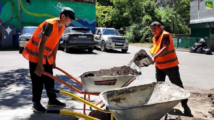 Владивосток скоро получит новую «народную» аллею для отдыха и прогулок