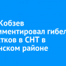 Игорь Кобзев прокомментировал гибель подростков в СНТ в Слюдянском районе