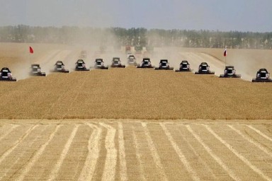 Орловская область оказалась в передовиках страны по уборке урожая