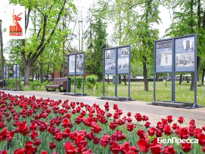В парке Победы Белгорода открыли выставку «Путь к Победе»