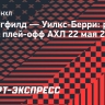 «Спрингфилд» сравнял счет в серии с «Уилкс-Берри», Романов отразил все 20 бросков