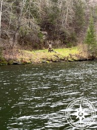 В Башкирии спасатели помогли заблудившемуся в лесу грибнику