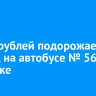 До 50 рублей подорожает проезд на автобусе № 56 в Иркутске