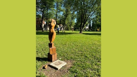 Директора эко-курорта под Тулой будут судить за травму ребенка